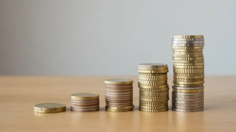 investicijų grąžos reprezentavimas