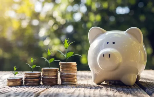 Finansinis „restartas“: kaip per 30 dienų peržiūrėti savo biudžetą? Finansinis „restartas“: kaip per 30 dienų peržiūrėti savo biudžetą?