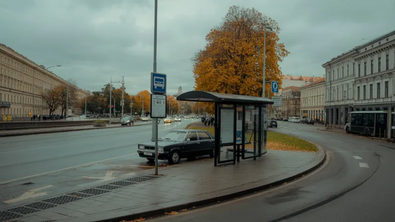 viešasis transportas ar nuosavas automobilis