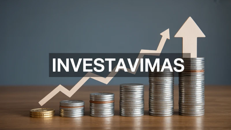 investicijų peržiūrėjimas